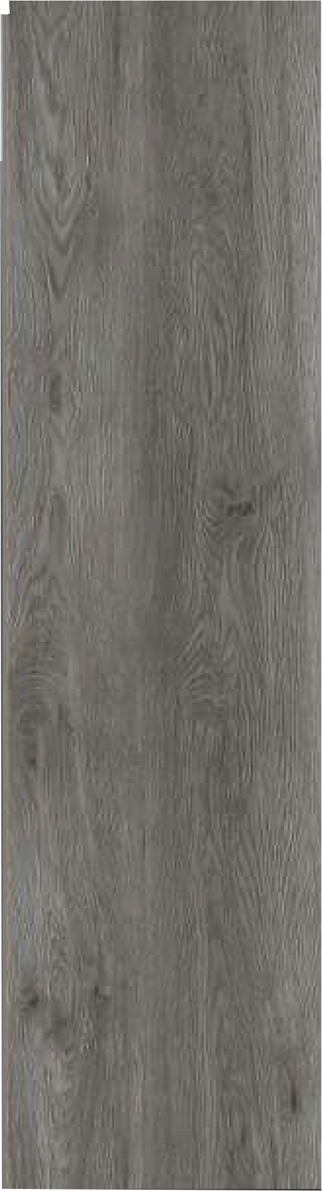 8001-21 Image