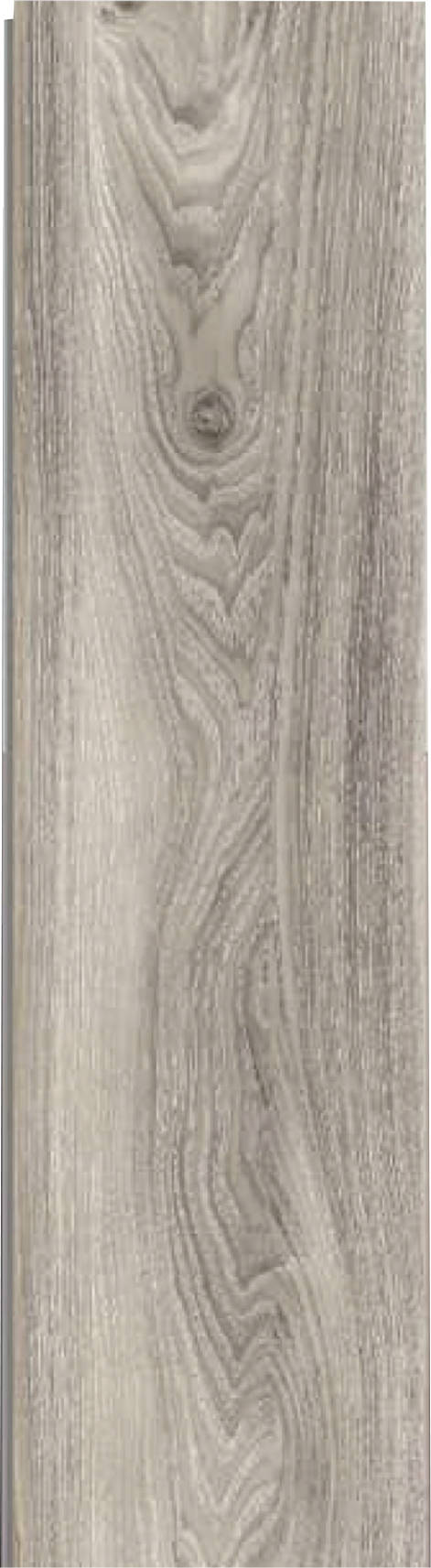 8002S-8 Image